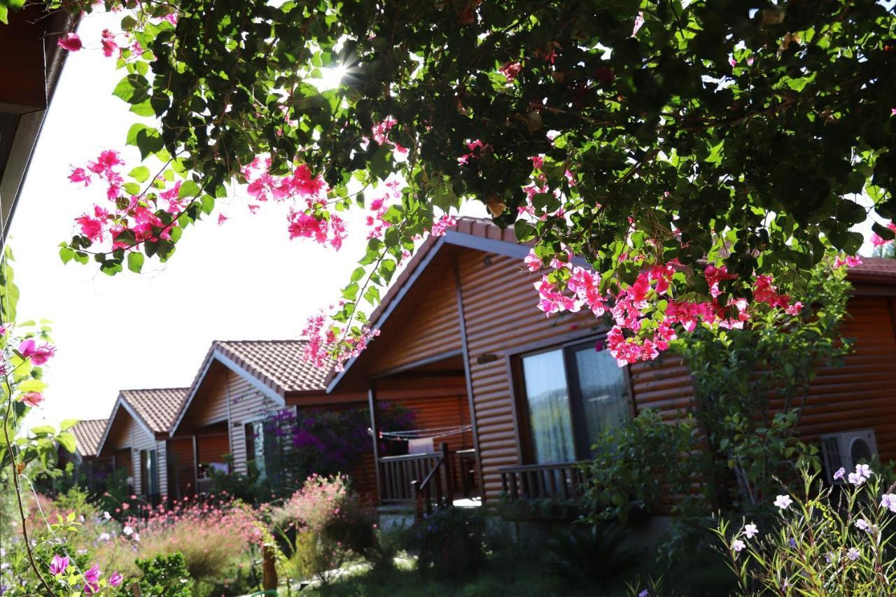 Leontopolis Apart Otel Çıralı Luaran gambar