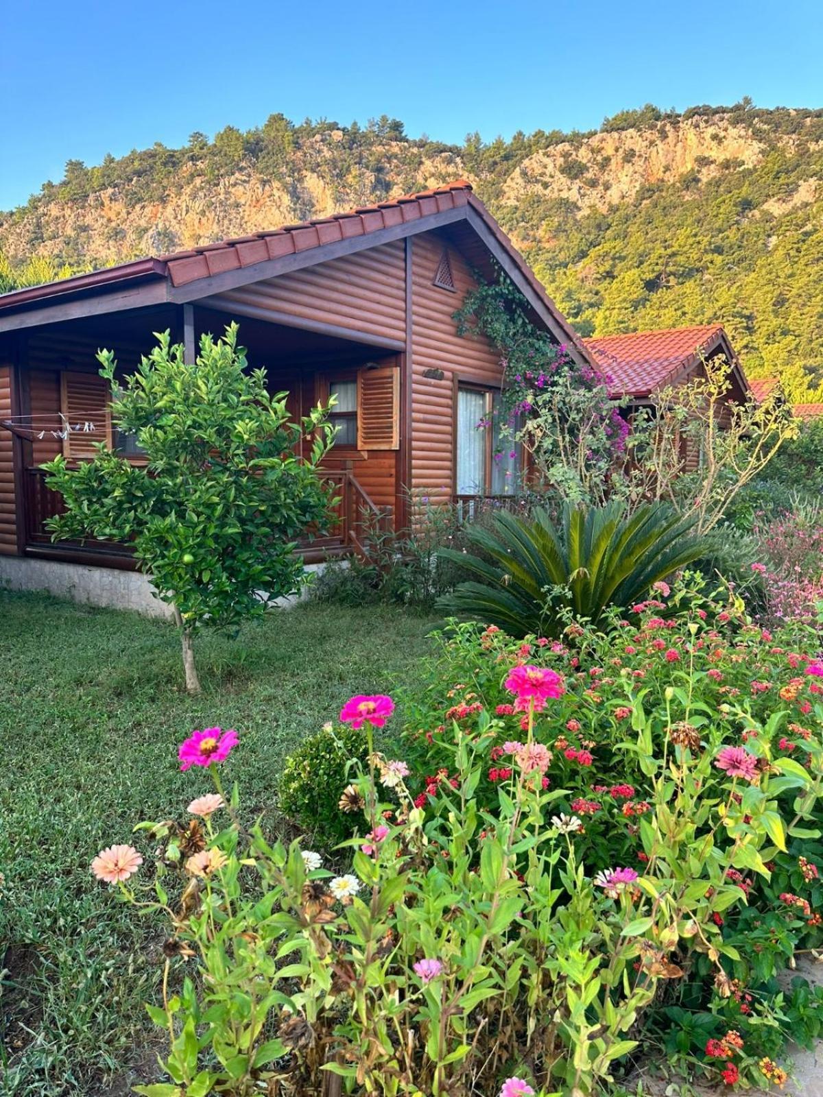 Leontopolis Apart Otel Çıralı Luaran gambar
